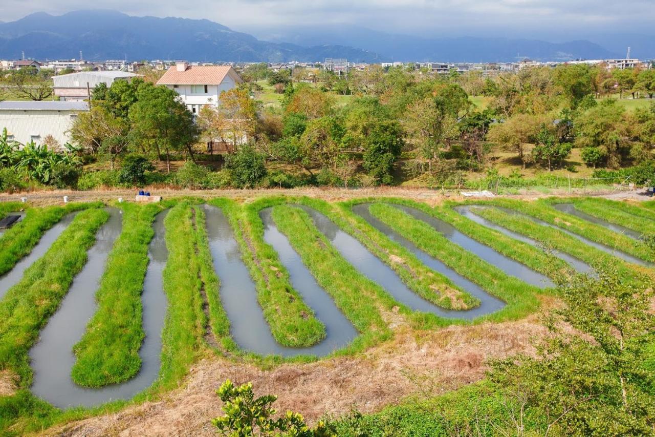Appartamento Fish House 宜蘭獨棟別墅 戲水池 生態diy 安農溪自行車 Dongshan  Esterno foto